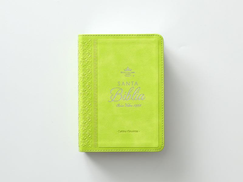 Cargue la imagen en el visor de la galería, Biblia RVR 1960, Tamaño portátil, Letra Grande, imitación piel verde lima
