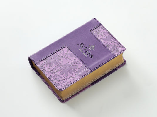 Biblia RVR 1960, Tamaño portátil, Letra Grande, imitación piel morada
