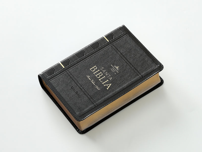 Cargue la imagen en el visor de la galería, Biblia RVR 1960, Tamaño portátil, Letra Grande, imitación piel negro
