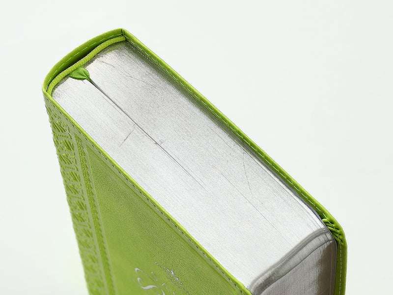 Cargue la imagen en el visor de la galería, Biblia RVR 1960, Tamaño portátil, Letra Grande, imitación piel verde lima

