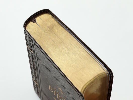 Biblia RVR 1960, Tamaño portátil, Letra Grande, imitación piel café mocha