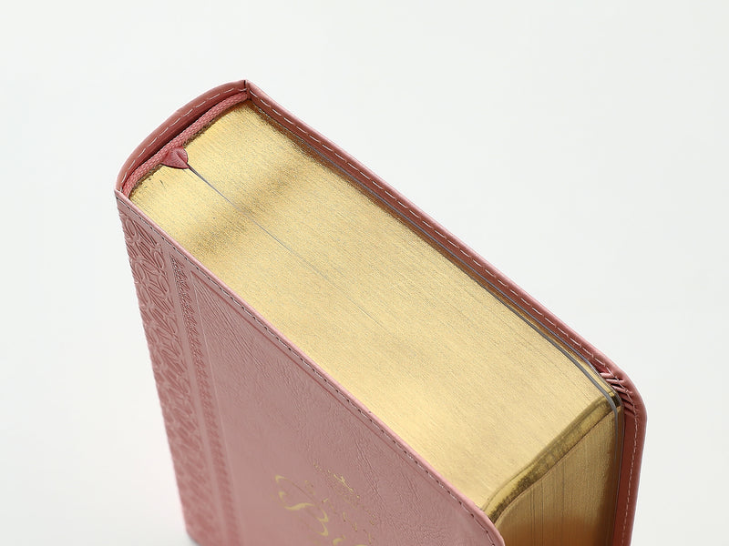 Cargue la imagen en el visor de la galería, Biblia RVR 1960, Tamaño portátil, Letra Grande, imitación piel rosada
