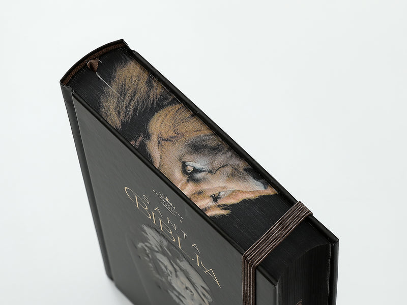 Cargue la imagen en el visor de la galería, Biblia RVR 1960, Tamaño Manual, Letra Grande, tapa dura con elástico negra León de Judá
