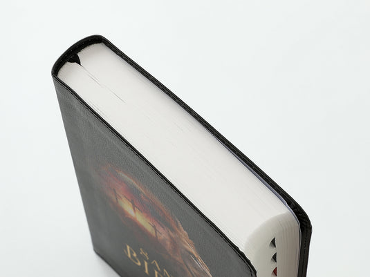 Biblia RVR 1960, Tamaño Manual, Letra Grande, con índice, imitación piel León/cruces