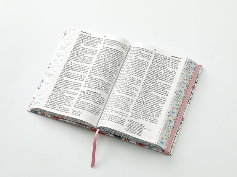 Cargue la imagen en el visor de la galería, Biblia RVR 1960, Tamaño Manual, Letra Grande, tapa dura con elástico Primavera
