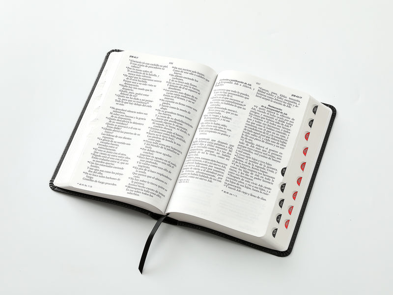 Cargue la imagen en el visor de la galería, Biblia RVR 1960, Tamaño Manual, Letra Grande, con índice, imitación piel León/cruces
