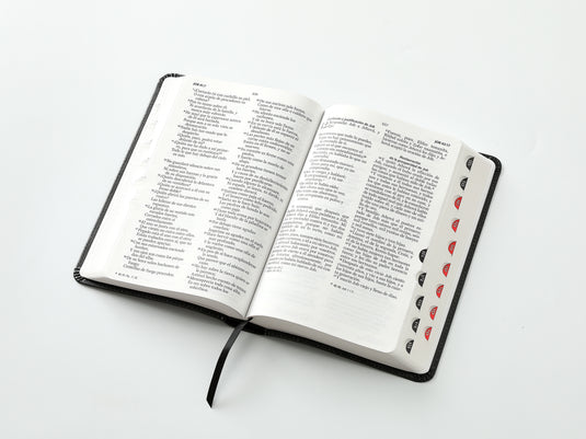 Biblia RVR 1960, Tamaño Manual, Letra Grande, con índice, imitación piel León/cruces