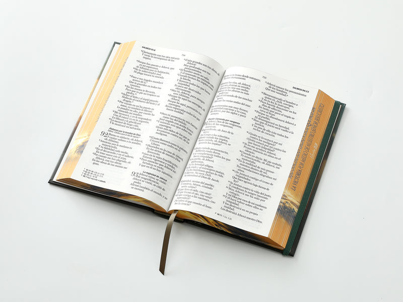 Cargue la imagen en el visor de la galería, Biblia RVR 1960, Tamaño Manual, Letra Grande, tapa dura con elástico León de Victoria

