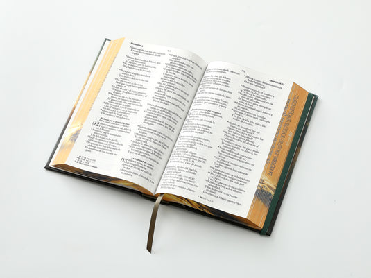 Biblia RVR 1960, Tamaño Manual, Letra Grande, tapa dura con elástico León de Victoria