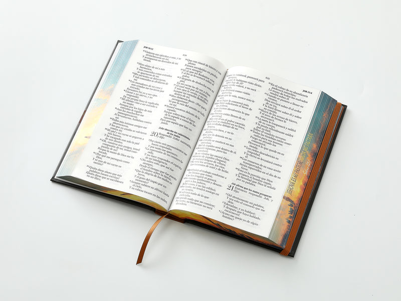 Cargue la imagen en el visor de la galería, Biblia RVR 1960, Tamaño Manual, Letra Grande, tapa dura con elástico Pastor
