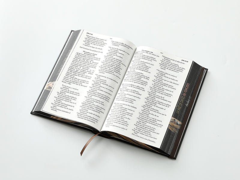 Cargue la imagen en el visor de la galería, Biblia RVR 1960, Tamaño Manual, Letra Grande, tapa dura con elástico negra León de Judá
