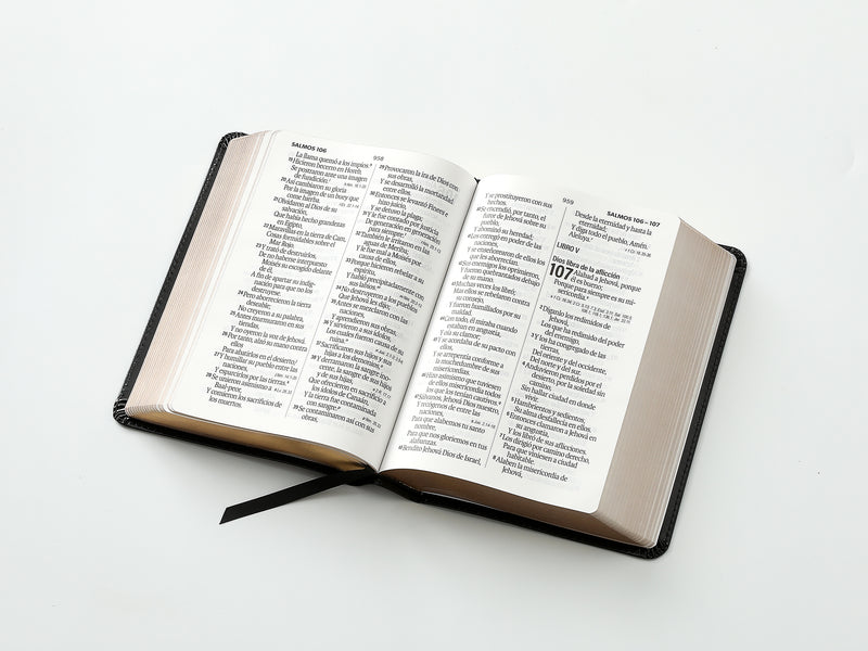 Cargue la imagen en el visor de la galería, Biblia RVR 1960, Tamaño portátil, Letra Grande, imitación piel negro
