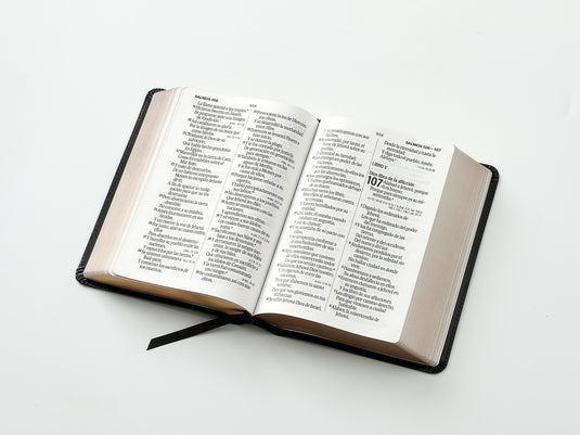 Biblia RVR 1960, Tamaño portátil, Letra Grande, imitación piel negro