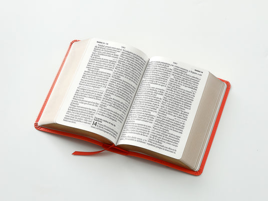 Biblia RVR 1960, Tamaño portátil, Letra Grande, imitación piel coral