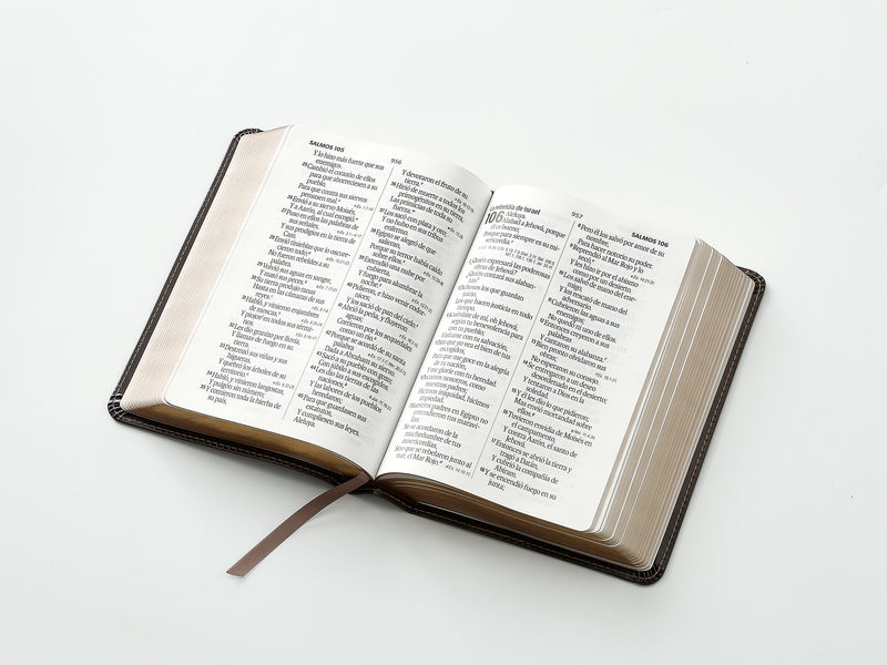 Cargue la imagen en el visor de la galería, Biblia RVR 1960, Tamaño portátil, Letra Grande, imitación piel café mocha
