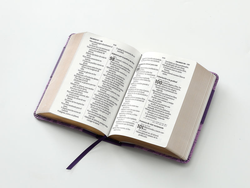 Cargue la imagen en el visor de la galería, Biblia RVR 1960, Tamaño portátil, Letra Grande, imitación piel morada
