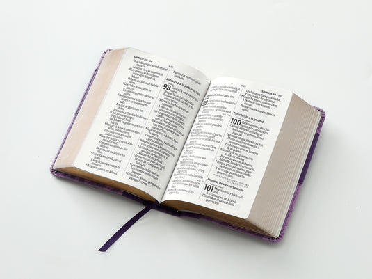Biblia RVR 1960, Tamaño portátil, Letra Grande, imitación piel morada