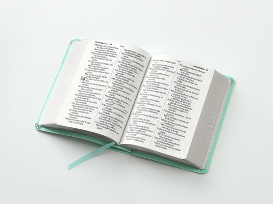 Biblia RVR 1960, Tamaño portátil, Letra Grande, imitación piel menta