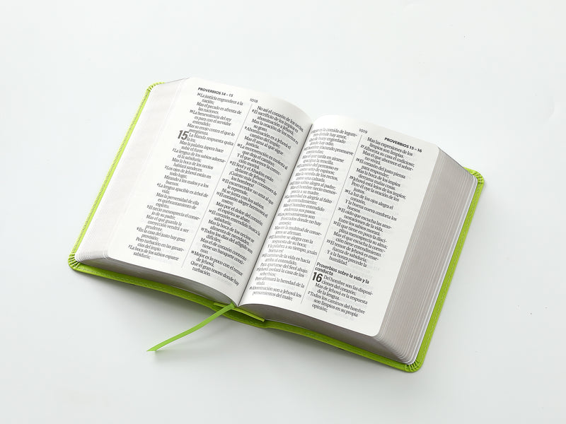 Cargue la imagen en el visor de la galería, Biblia RVR 1960, Tamaño portátil, Letra Grande, imitación piel verde lima
