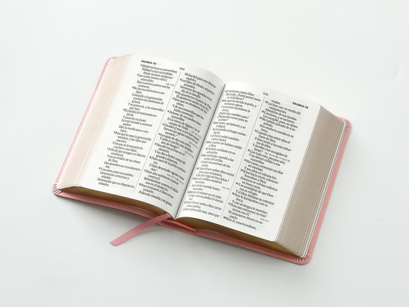 Cargue la imagen en el visor de la galería, Biblia RVR 1960, Tamaño portátil, Letra Grande, imitación piel rosada

