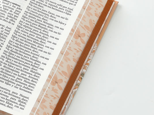 Biblia RVR 1960, Tamaño Manual, Letra Grande, tapa dura con elástico coral mariposas