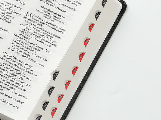 Biblia RVR 1960, Tamaño Manual, Letra Grande, con índice, imitación piel León/cruces