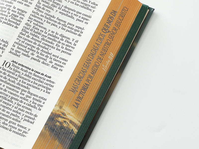 Cargue la imagen en el visor de la galería, Biblia RVR 1960, Tamaño Manual, Letra Grande, tapa dura con elástico León de Victoria

