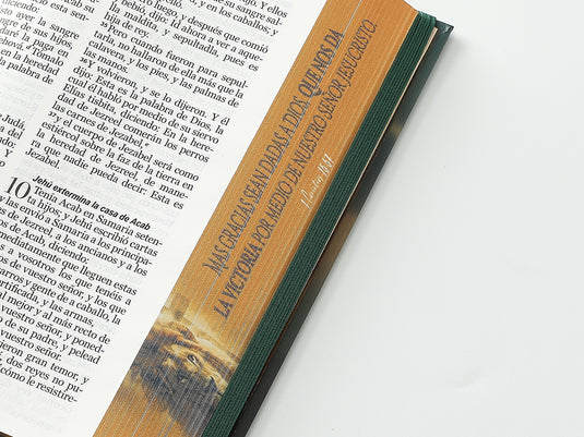 Biblia RVR 1960, Tamaño Manual, Letra Grande, tapa dura con elástico León de Victoria