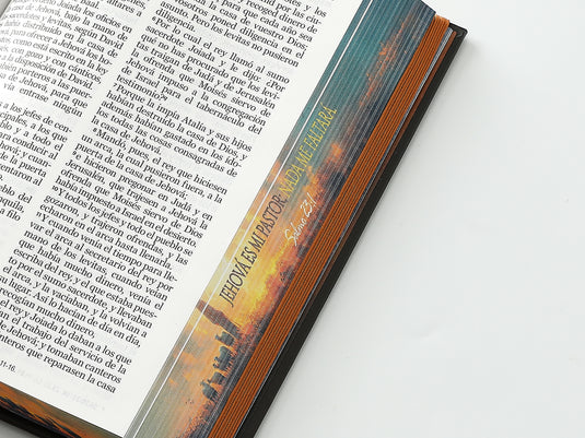 Biblia RVR 1960, Tamaño Manual, Letra Grande, tapa dura con elástico Pastor