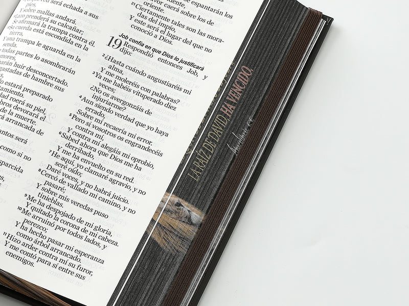 Cargue la imagen en el visor de la galería, Biblia RVR 1960, Tamaño Manual, Letra Grande, tapa dura con elástico negra León de Judá
