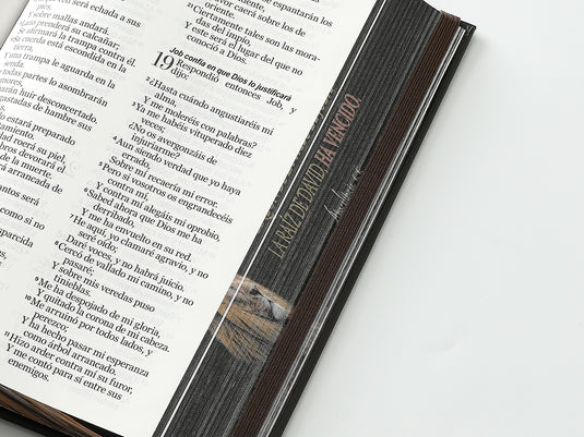 Biblia RVR 1960, Tamaño Manual, Letra Grande, tapa dura con elástico negra León de Judá