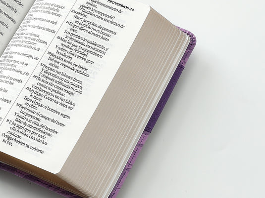 Biblia RVR 1960, Tamaño portátil, Letra Grande, imitación piel morada