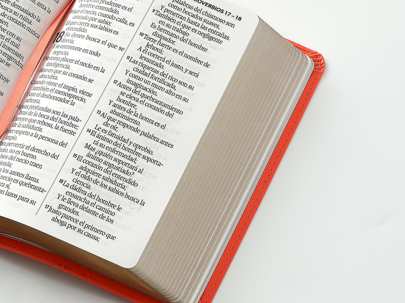 Cargue la imagen en el visor de la galería, Biblia RVR 1960, Tamaño portátil, Letra Grande, imitación piel coral
