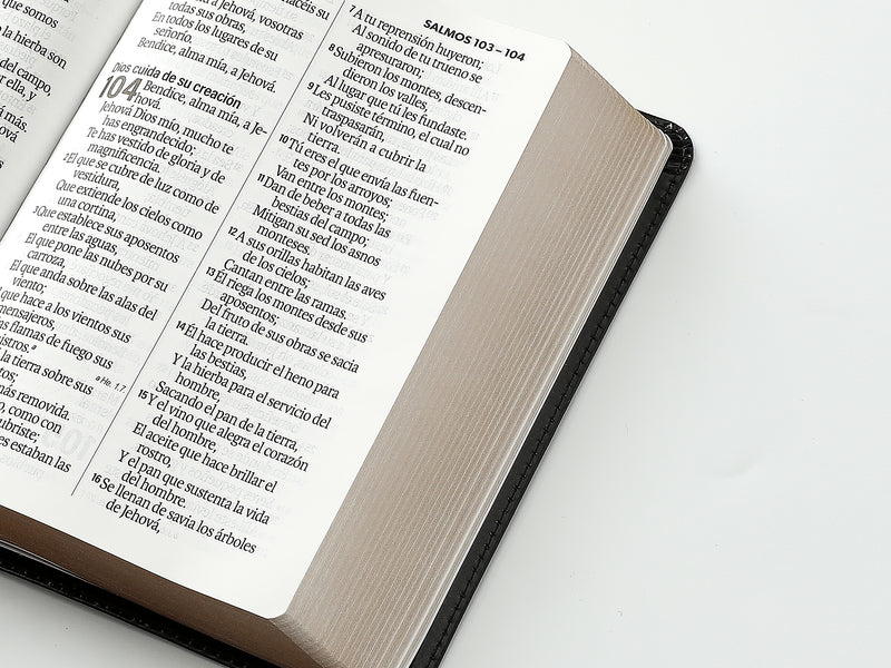 Cargue la imagen en el visor de la galería, Biblia RVR 1960, Tamaño portátil, Letra Grande, imitación piel negro
