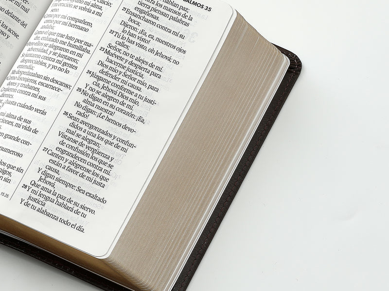 Cargue la imagen en el visor de la galería, Biblia RVR 1960, Tamaño portátil, Letra Grande, imitación piel café mocha
