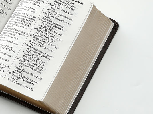Biblia RVR 1960, Tamaño portátil, Letra Grande, imitación piel café mocha