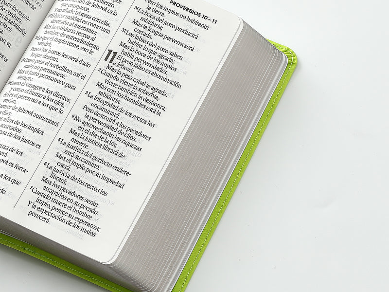 Cargue la imagen en el visor de la galería, Biblia RVR 1960, Tamaño portátil, Letra Grande, imitación piel verde lima

