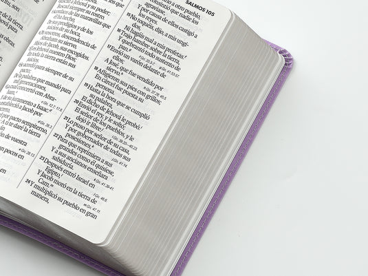 Biblia RVR 1960, Tamaño portátil, Letra Grande, imitación piel lila