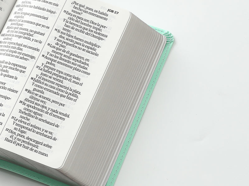 Cargue la imagen en el visor de la galería, Biblia RVR 1960, Tamaño portátil, Letra Grande, imitación piel menta
