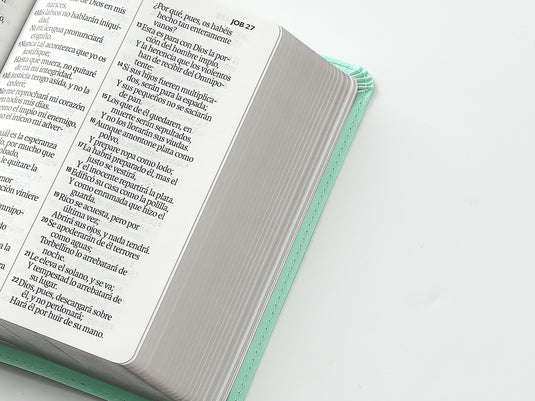Biblia RVR 1960, Tamaño portátil, Letra Grande, imitación piel menta