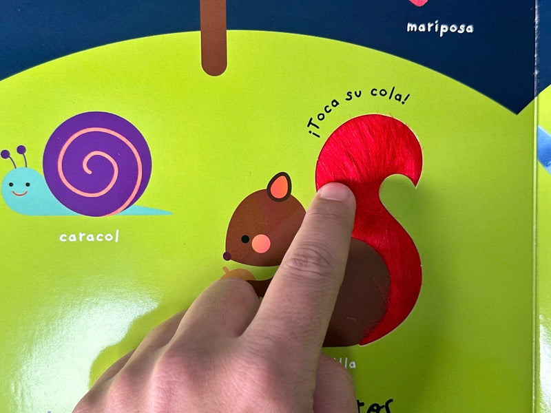 Cargue la imagen en el visor de la galería, Buenas noches, pequeña oveja (Colección Toca y juega)
