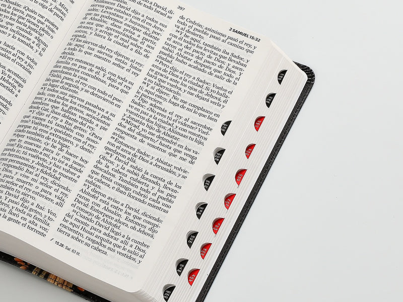 Cargue la imagen en el visor de la galería, Biblia RVR 1960, Tamaño Manual, Letra Grande, con índice, imitación piel Trigo
