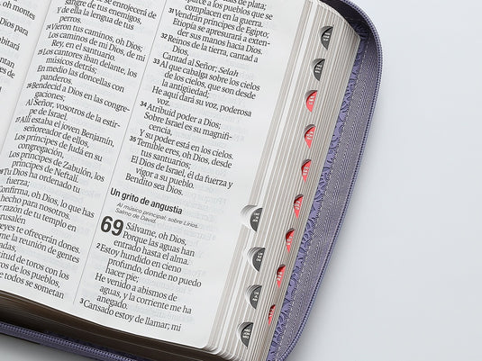 Biblia RVR 1960, Cierre zíper, con índice, Letra Súper Gigante, imitación pie morada