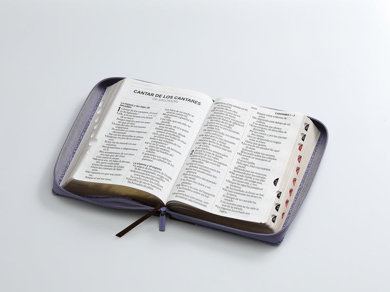 Cargue la imagen en el visor de la galería, Biblia RVR 1960, Cierre zíper, con índice, Letra Súper Gigante, imitación pie morada
