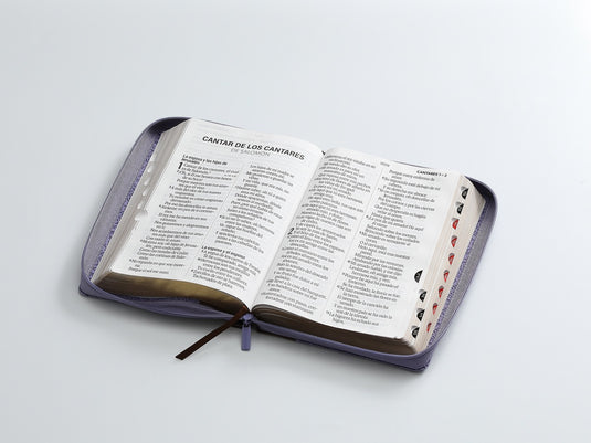 Biblia RVR 1960, Cierre zíper, con índice, Letra Súper Gigante, imitación pie morada