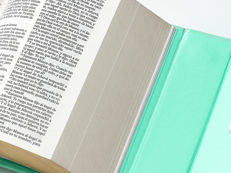 Cargue la imagen en el visor de la galería, Biblia cartera RV1960 con broche magnético, imitación piel verde menta
