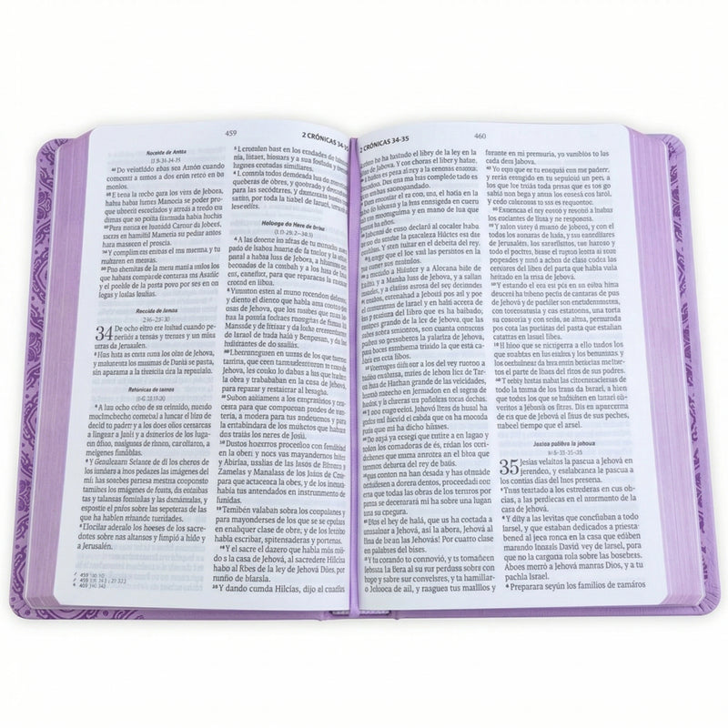 Cargue la imagen en el visor de la galería, Biblia RVR 1960, Tamaño manual, Letra Grande, imitación piel lila
