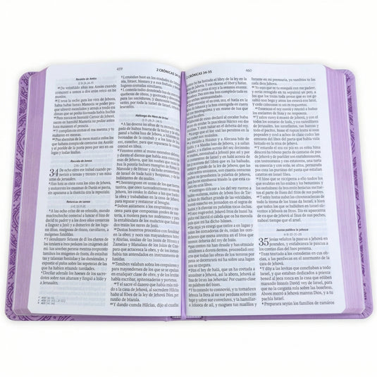 Biblia RVR 1960, Tamaño manual, Letra Grande, imitación piel lila