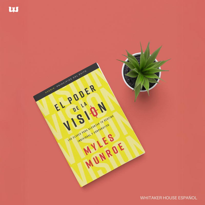Cargue la imagen en el visor de la galería, El poder de la visión
