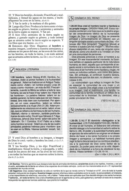 Cargue la imagen en el visor de la galería, Biblia de Estudio Plenitud RVR 1960, Tamaño Personal, imitación piel negra
